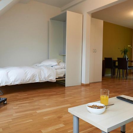 Residence Apartments By Hotel Du Commerce Basel Luaran gambar